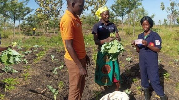 La storia di Chepkwemoi e di come è diventata una coltivatrice