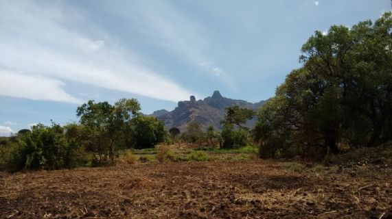 Sostentamento sostenibile per nuclei familiari rurali vulnerabili nei distretti di Moroto, Napak, Amudat e Nakapiripirit